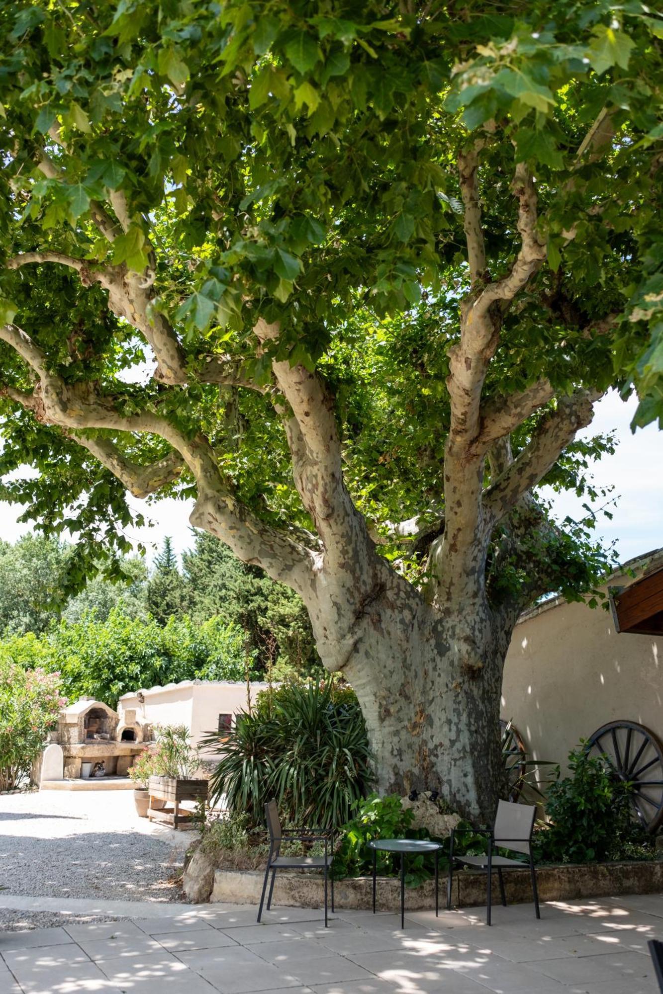 Le Vieux Platane Hotel Cairanne Buitenkant foto